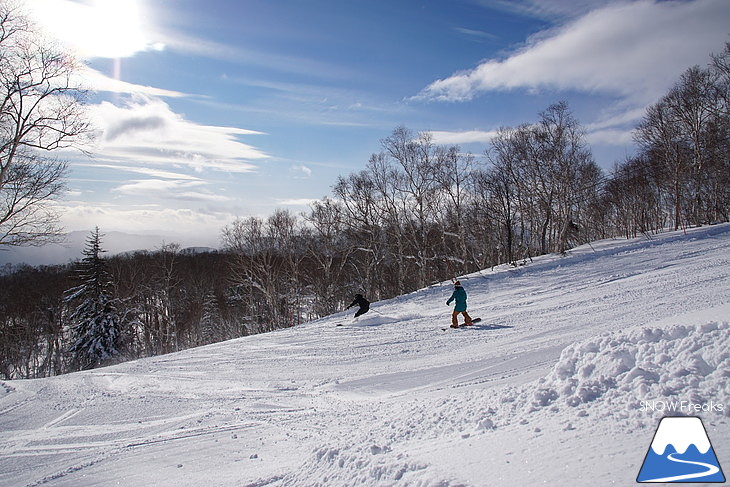 サッポロテイネ -11℃！空に舞い上がる粉雪。